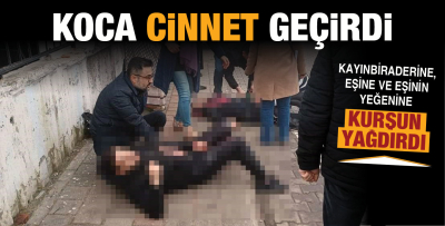 KOCA CİNNET GEÇİRDİ ...