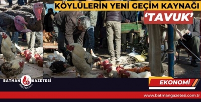 KÖYLÜLERİN YENİ GEÇİM KAYNAĞI ‘TAVUK’