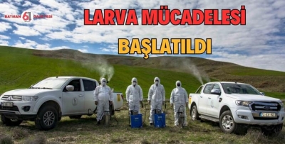 LARVA MÜCADELESİ BAŞLATILDI