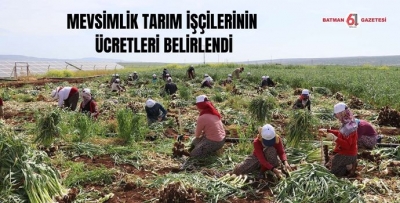 MEVSİMLİK TARIM İŞÇİLERİNİN ÜCRETLERİ BELİRLENDİ