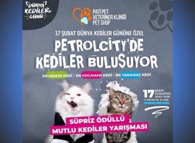 MUTLU KEDİLER YARIŞMASI