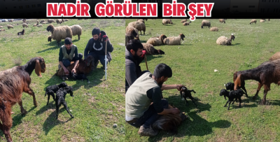 NADİR GÖRÜLEN BİR ŞEY