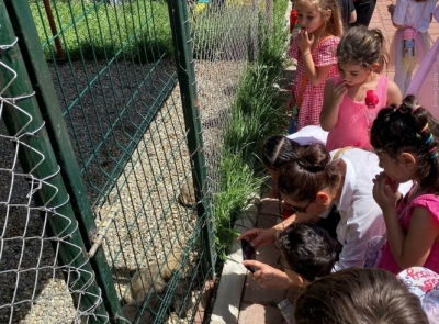 ÖĞRENCİLERDEN HAYVAN BAKIM EVİNE ZİYARET