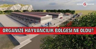 ORGANİZE HAYVANCILIK BÖLGESİ NE OLDU?