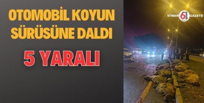 OTOMOBİL KOYUN SÜRÜSÜNE DALDI