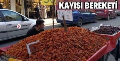 RAMAZAN AYINDA KAYISI BEREKETİ