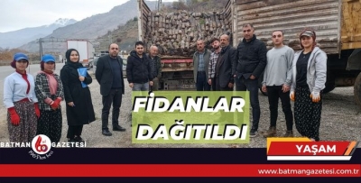 SASON’DA FISTIK FİDANI DAĞITILDI