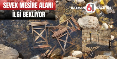 SEVEK MESİRE ALANI İLGİ BEKLİYOR