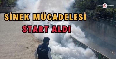 SİNEK MÜCADELESİ START ALDI