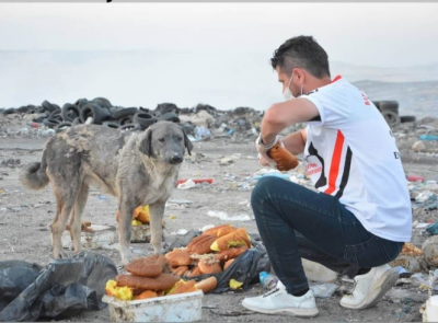 SOKAK KÖPEKLERİNDE ORTAK ÇÖZÜM ÖNERİSİ