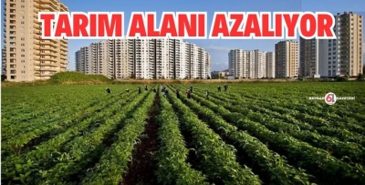 TARIM ALANI ORANI AZALIYOR