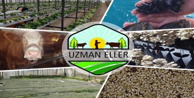 "UZMAN ELLER PROJELERİ" İÇİN BAŞVURULAR BAŞLADI