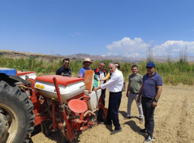 YAĞLIK AYÇİÇEK TOHUMU DAĞITILDI