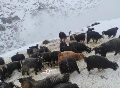 Yağmur, yerini kar yağışına bıraktı