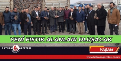 YENİ FISTIK ALANLARI OLUŞACAK