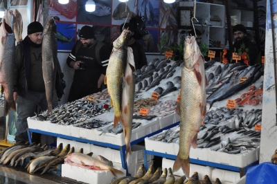 Yeni Yılda Balık Fiyatları Değişmedi