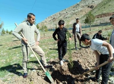 YÜCEBAĞ’DA GELENEKSEL FİDAN DİKİMİ