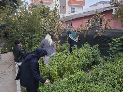 SAĞLIKLI GELECEK İÇİN ATA TOHUMLARI