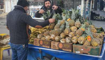 Tropikal Meyve Satışı Yükselişte